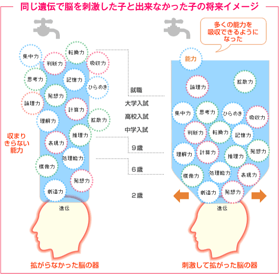 チャイルドアイズに一年通った効果検証（知能研究所教材を使った