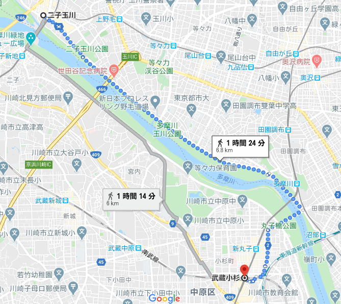 多摩川ウォーキング日記 二子玉川で発見 子供の隠れ家ツリーハウス 幼児教育と教材の効果を検証するブログ