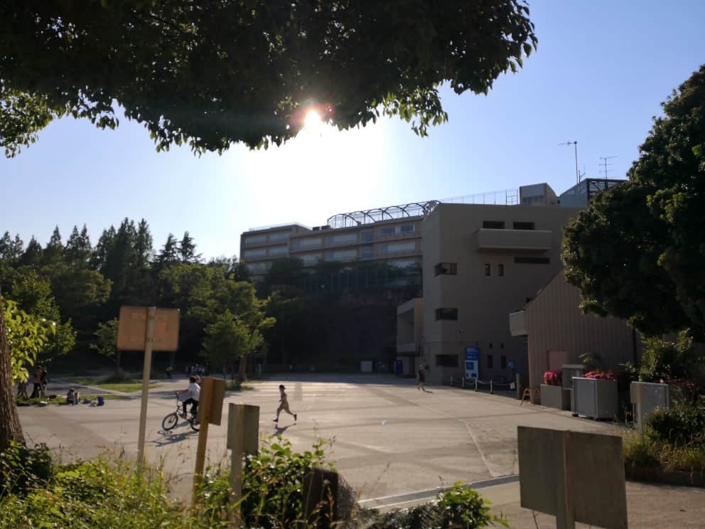 精華小学校の特徴、説明会要旨(教育方針・倍率・合格実績):神奈川の中学受験進学校 まなのび:幼児教育と教材の効果を検証するブログ