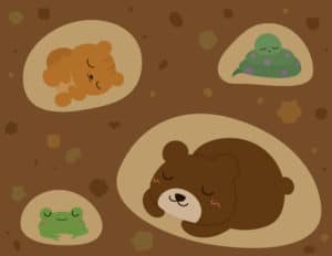 【小学校受験】冬眠する動物・生き物の一覧と考え方
